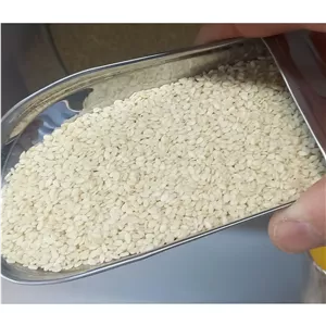 کنجد سفید تمیز 100 گرمی