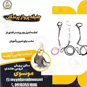 جلیقه پرواز پرندگان زینتی-پرواز ایمن