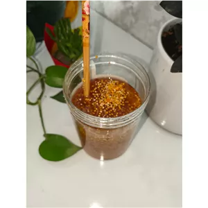 مخلوط عسل و گرده گل