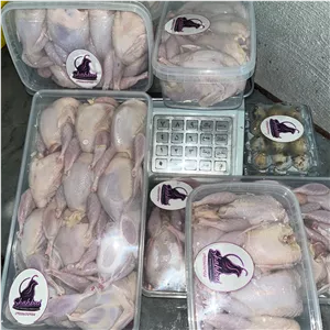 بلدرچین پرکنده مزرعه شهبال