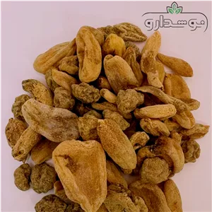 ثعلب قلوه 100 گرمی (پسکرایه) کارتن