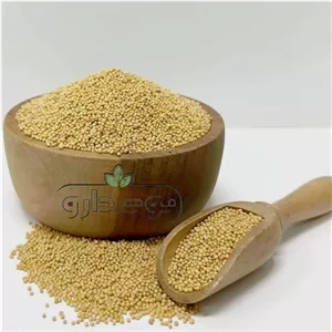 خردل زرد 1 کیلویی (پسکرایه)