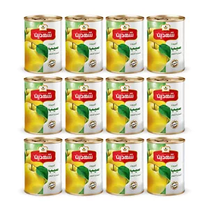 کمپوت سیب شهدین - 370 گرم بسته 12 عددی