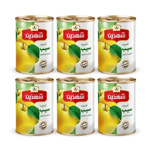 کمپوت سیب شهدین - 370 گرم بسته 6 عددی