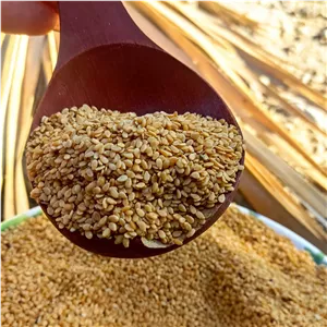 کنجد بو داده دشتستان 500 گرمی کاملاً تمیز 