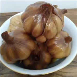 سیر ترشی محلی طارم 2 ساله،درشت ، مجلسی و خوش طعم در بسته بندی 5 کیلوگرمی با قیمت مناسب