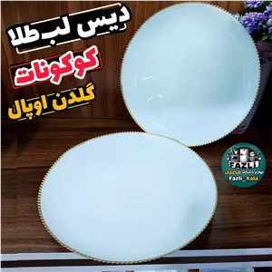 دیس آرکوپال سفید لب طلا گرد 2عددی دیس گرد آرکوپال لب طلا دیس کوکونات گلدن اوپال دیس کوکونات لب طلا گلدن اوپال دیس لب طلا