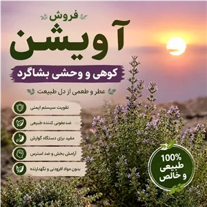 آویشن اورگانیک بشاگرد. کوهی