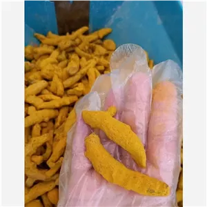 زردچوبه زرد چوبه پودرشده 500گرمی  