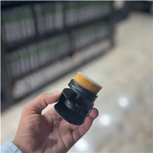 برس نظافت خودرو