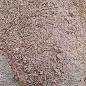 مردار سنگ