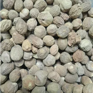 جوز هندی آسیابی
