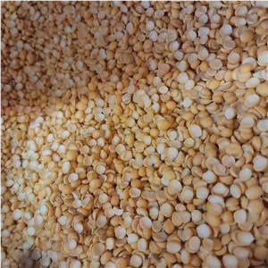 لپه ریز آذرشهر