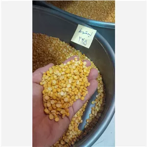 لپه متوسط