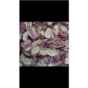 بذر آنغوزه شیرین 