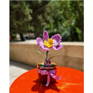 گلدون گل جاودان ارکیده بنفش هدیه