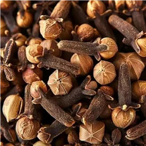 میخک ممتاز درشت 