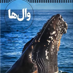شاهد عینی وال ها (نردبان) رحلی سلفون