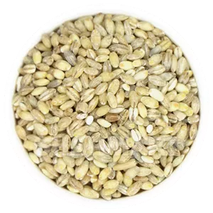 جو پوست کنده (30 کیلوگرم)
