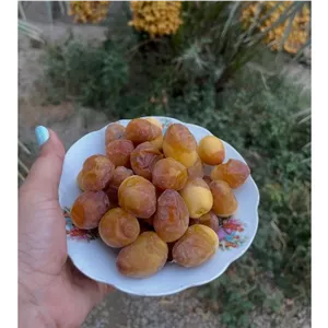 رطب برحی لوکس و درجه یک در پک 1کیلویی و 1 5کیلویی،بصورت محدود موجود میباشد