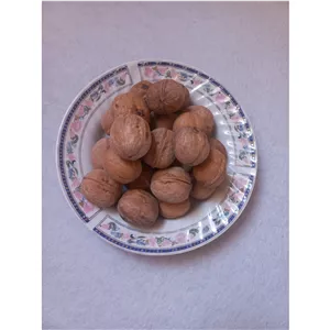 گردو بلغاری