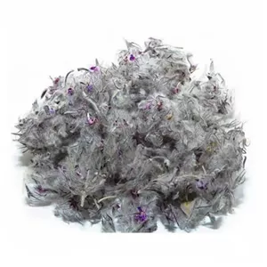 چای کوهی اعلاء کردستان