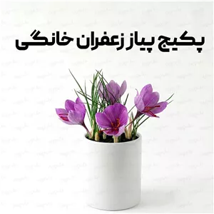  پیاز زعفران پکیچ کاشت در گلدان و باغچه (50 عدد)