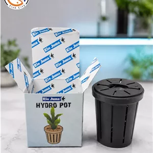 گلدان کاشت گیاه اکواریوم ریوجوما به همراه خاک بستر اکواریوم
