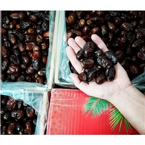 خرمای کلوته لوکس درجه یک