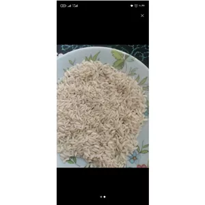 برنج طارم صدری،علی کاظمی دورود