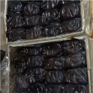 خرمای مضافتی فنوج