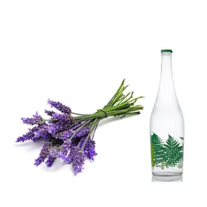 عرق اسطوخودوس