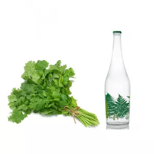 عرق گشنیز
