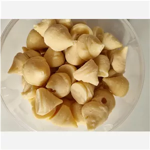 کشک مرغوب مخروطیکشک خشک