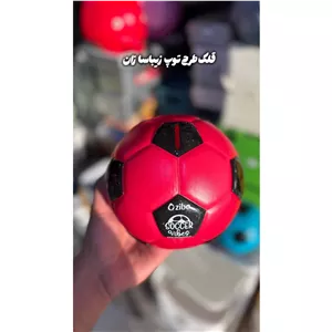 قلک توپ زیباسازان 