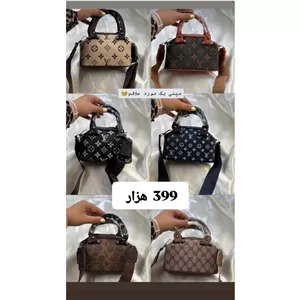 مینی بگ