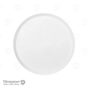بشقاب تخت چینی زرین فرم اس سایز 9