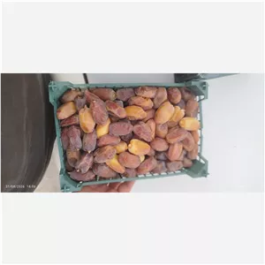 رطب کبکاب سوپر لوکس بهبهان