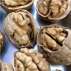 گردوی اعلا 