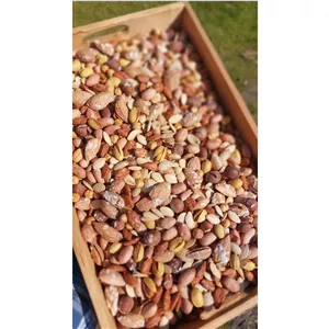 آجیل مخلوط اقتصادی با تخمه