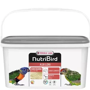 سرلاک پرنده طوطی لوری ورسلاگا A18
