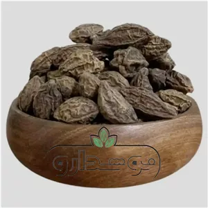 هلیله کابلی 100 گرمی (پسکرایه)