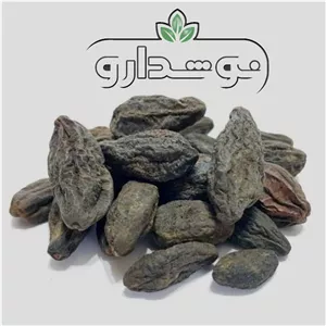 هلیله سیاه 100 گرمی (پسکرایه)