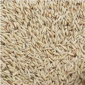 جو امسال