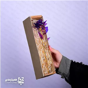 گل رز همیار مدیر