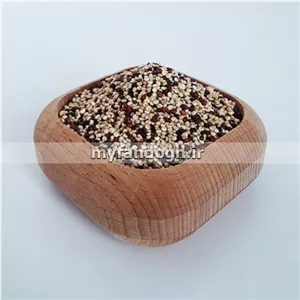 دانه کینوا سه رنگ برای انسان و طوطی سانان