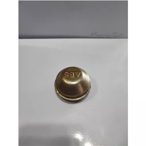کاپ گریس چرخ نیسان