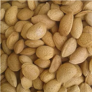 بادام سنگی امسال1405(یک کیلوگرم)