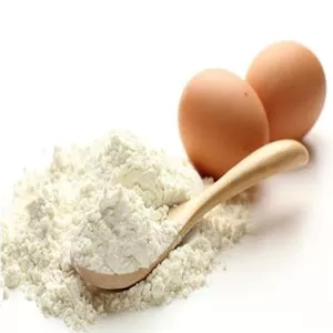 پودر سفیده تخم مرغ 100 گرمی