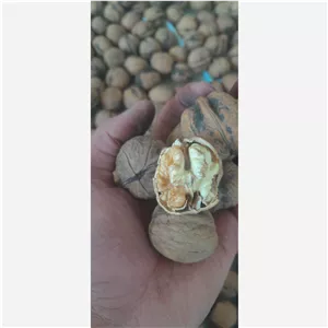 گردو کاغذی امسالی(وزن 1000 گرمی)
